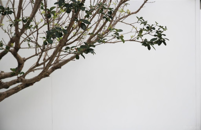 新富町文化市場 U-mkt-23