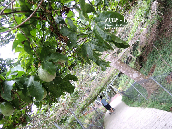 2018-6-10蘇維拉莊園 (18).jpg