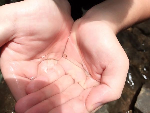 IMG_20160703_224433_576