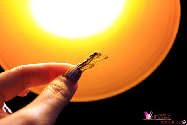 高雄前金區︱麋鹿背包飛鏢/餐酒館 高雄唯一下午兩點營業,可以親子同樂的餐酒館,閨密聚會新去處!