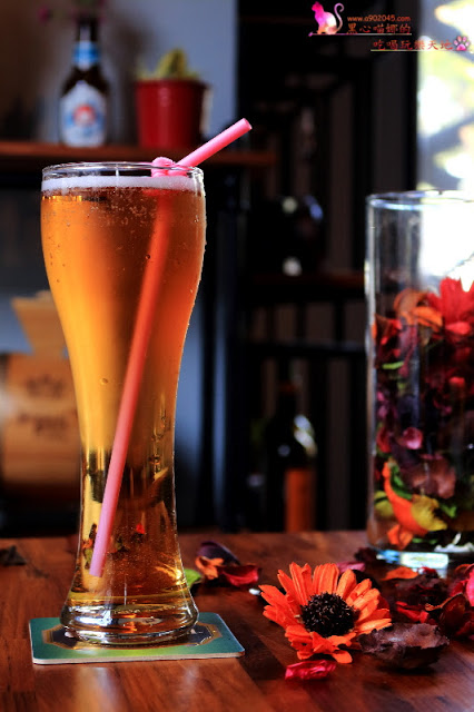 高雄前金區︱麋鹿背包飛鏢/餐酒館 高雄唯一下午兩點營業,可以親子同樂的餐酒館,閨密聚會新去處!