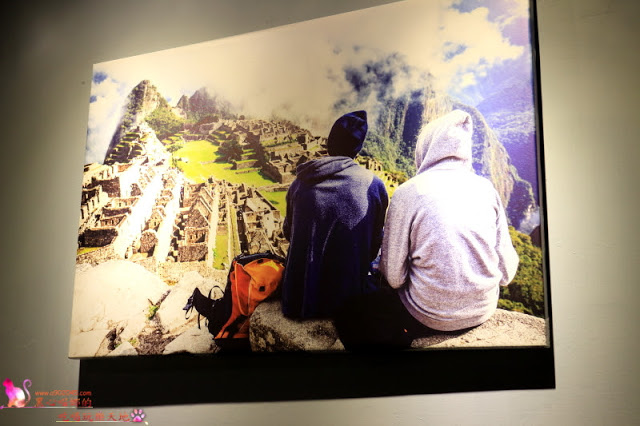 高雄前金區︱麋鹿背包飛鏢/餐酒館 高雄唯一下午兩點營業,可以親子同樂的餐酒館,閨密聚會新去處!