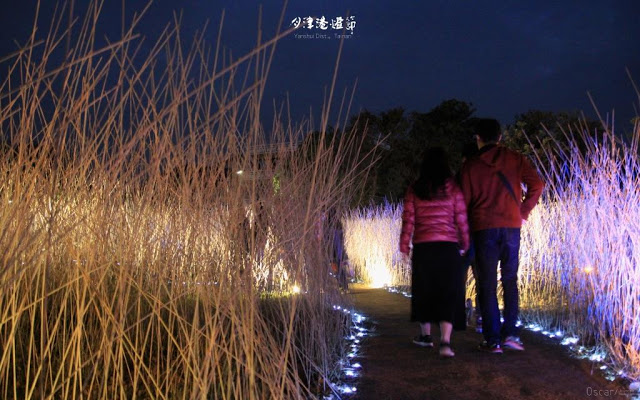 2017月津港燈節-6