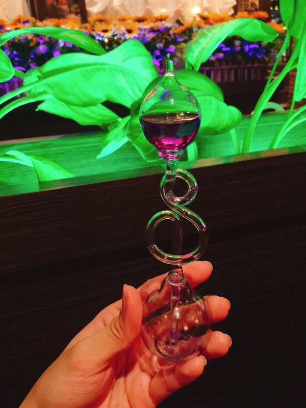 sigrid咖啡:【中山區日系頂級尊榮的浪漫咖啡廳推薦】SIGRID COFFEE一生必來一次、約會必勝~享用貴婦下午茶及頂級莊園咖啡真是人生一大樂事!噹噹媽和好閨蜜Chloe超推薦~