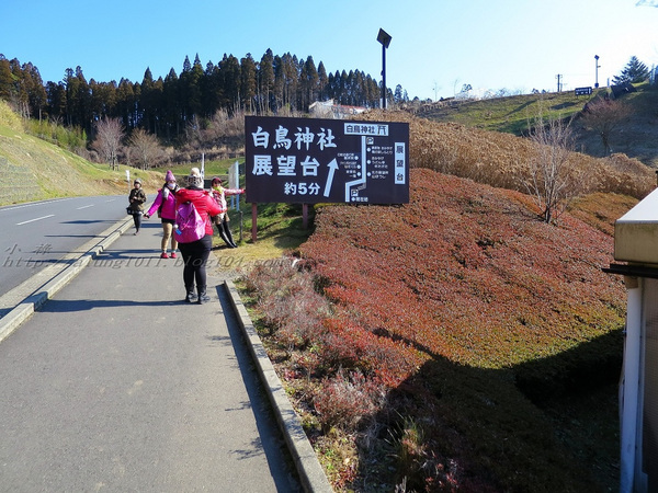 九重"夢"大吊橋(KOKONOE YUME OTSURIHASHI)：九重“夢”大吊橋       ..天空の散步道~