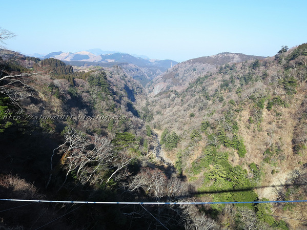九重"夢"大吊橋(KOKONOE YUME OTSURIHASHI)：九重“夢”大吊橋       ..天空の散步道~