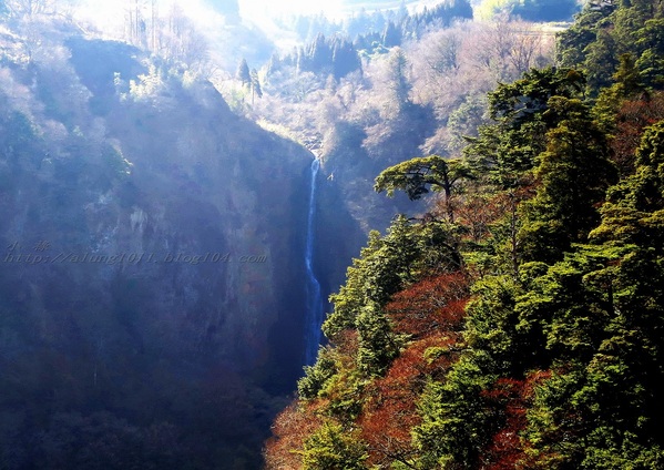 九重"夢"大吊橋(KOKONOE YUME OTSURIHASHI)：九重“夢”大吊橋       ..天空の散步道~