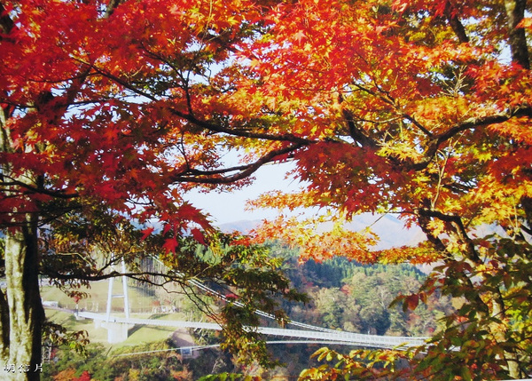 九重"夢"大吊橋(KOKONOE YUME OTSURIHASHI)：九重“夢”大吊橋       ..天空の散步道~