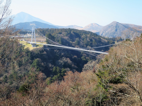 九重"夢"大吊橋(KOKONOE YUME OTSURIHASHI)：九重“夢”大吊橋       ..天空の散步道~