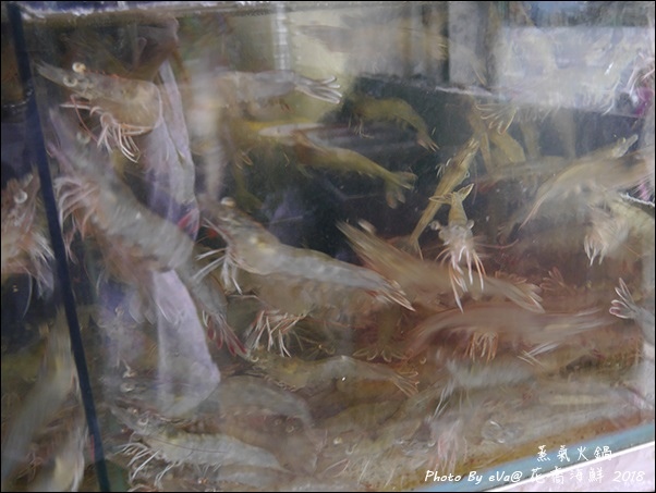 花喬海鮮-07.jpg