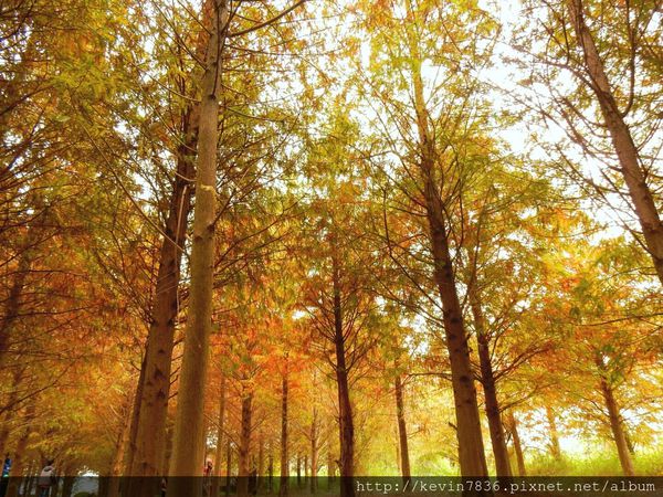 20170115_235152.jpg 20170115_235152.jpg