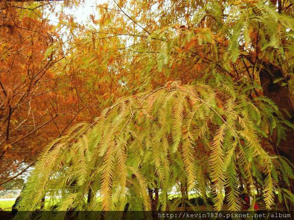 20170115_234818.jpg 20170115_234818.jpg