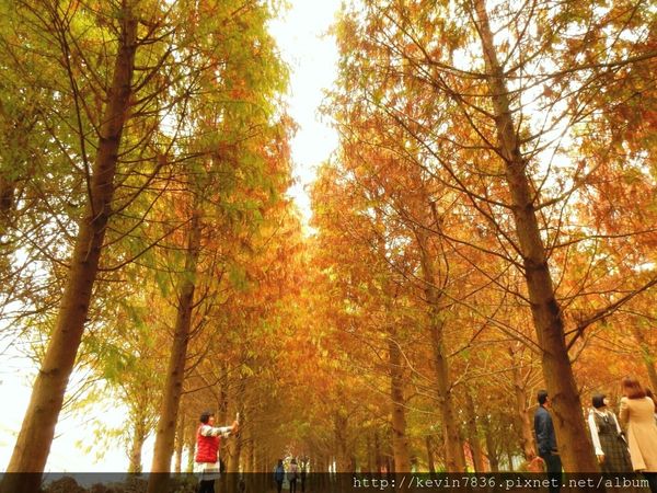 20170115_233918.jpg 20170115_233918.jpg