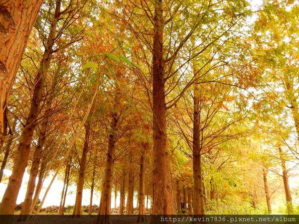 DSCN9124.JPG DSCN9124.JPG