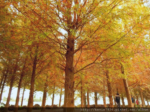 20170115_234944.jpg 20170115_234944.jpg