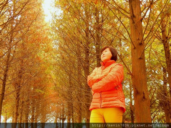 20170115_234240.jpg 20170115_234240.jpg