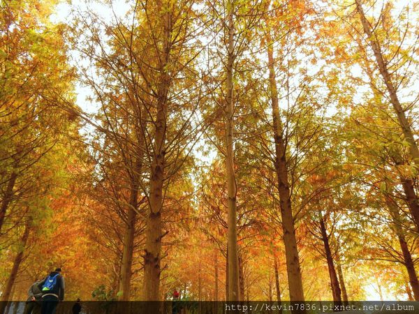 20170115_235122.jpg 20170115_235122.jpg