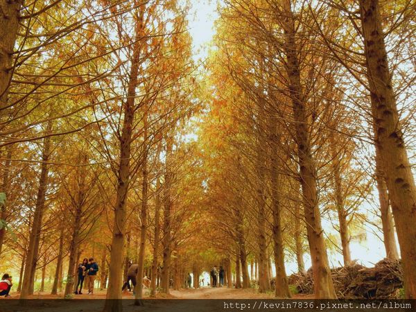 20170115_235715.jpg 20170115_235715.jpg