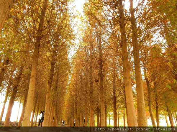 20170115_235354.jpg 20170115_235354.jpg