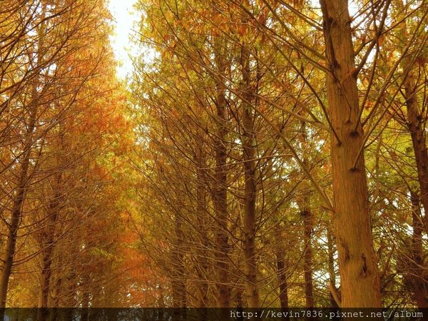 20170115_234025.jpg 20170115_234025.jpg