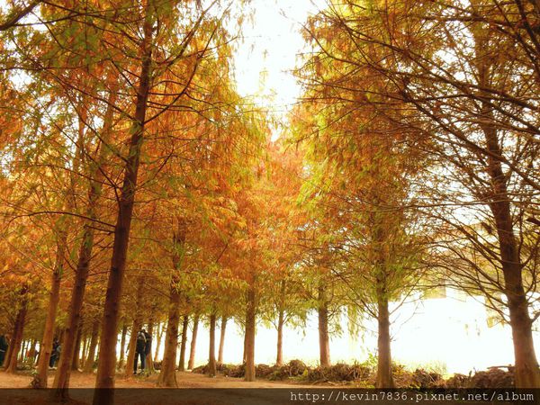 20170115_234607.jpg 20170115_234607.jpg