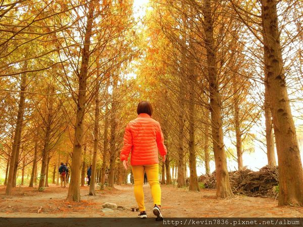 20170115_234448.jpg 20170115_234448.jpg