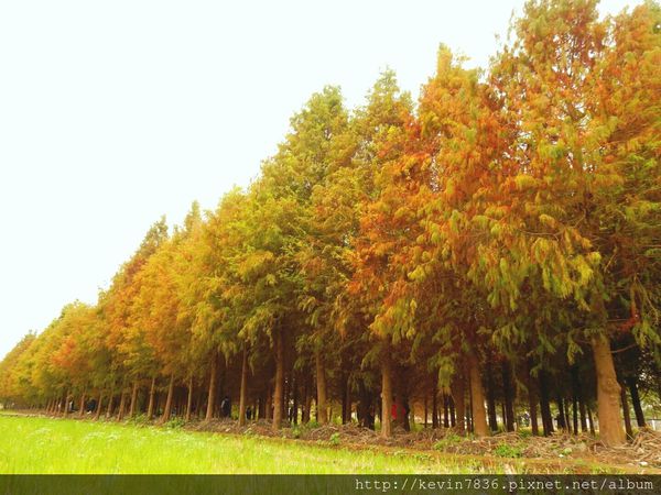 20170115_233708.jpg 20170115_233708.jpg