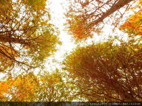 20170115_234709.jpg 20170115_234709.jpg