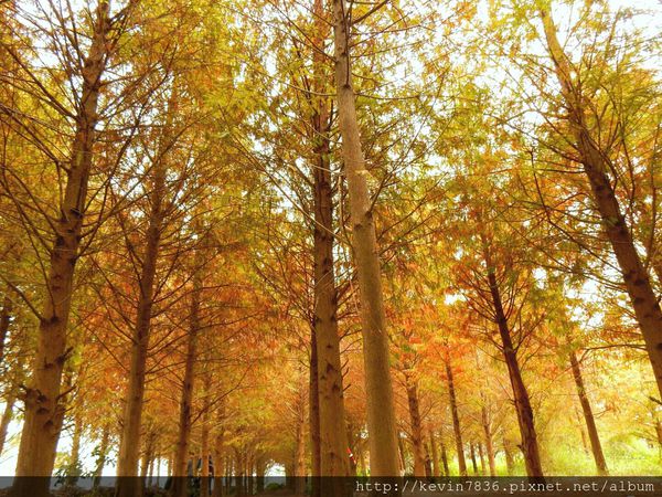 20170115_235228.jpg 20170115_235228.jpg