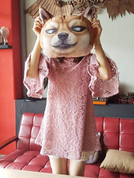 16295458_1438059312871377_1915041087_n