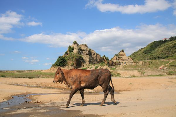 八里林口水牛坑:【新北市林口景點】水牛坑~台版美國大峽谷,林口秘境夢幻湖畔,擎天崗式大草原,婚紗電影外拍聖地