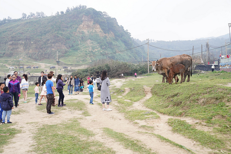 水牛坑 (22)