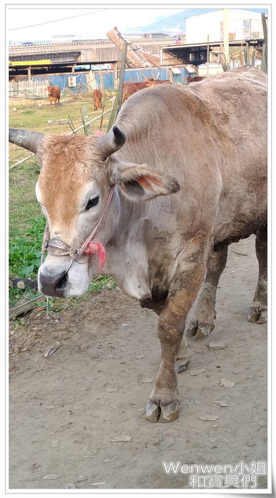 2017.03.05 林口水牛坑 (18).jpg