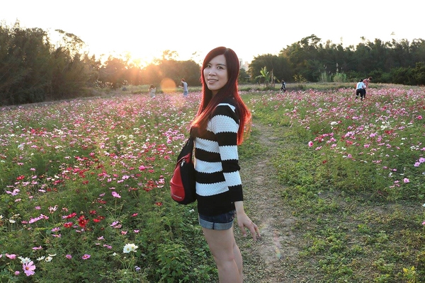 桃園落羽松：【桃園景點】桃園八德霄裡池落羽松森林~有身處異地的FU，難怪成為旅人們賞落羽松的必造訪的景點