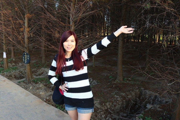 桃園落羽松：【桃園景點】桃園八德霄裡池落羽松森林~有身處異地的FU，難怪成為旅人們賞落羽松的必造訪的景點