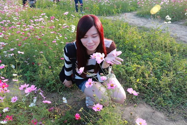 桃園落羽松：【桃園景點】桃園八德霄裡池落羽松森林~有身處異地的FU，難怪成為旅人們賞落羽松的必造訪的景點