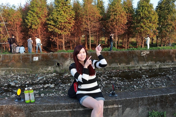 桃園落羽松：【桃園景點】桃園八德霄裡池落羽松森林~有身處異地的FU，難怪成為旅人們賞落羽松的必造訪的景點