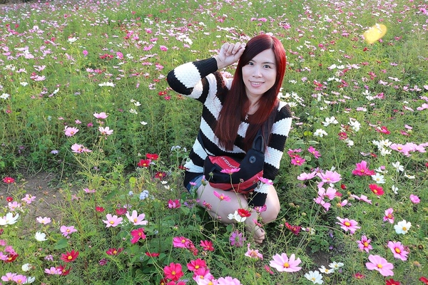 桃園落羽松：【桃園景點】桃園八德霄裡池落羽松森林~有身處異地的FU，難怪成為旅人們賞落羽松的必造訪的景點