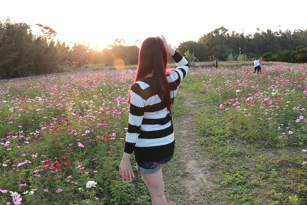 桃園落羽松：【桃園景點】桃園八德霄裡池落羽松森林~有身處異地的FU，難怪成為旅人們賞落羽松的必造訪的景點