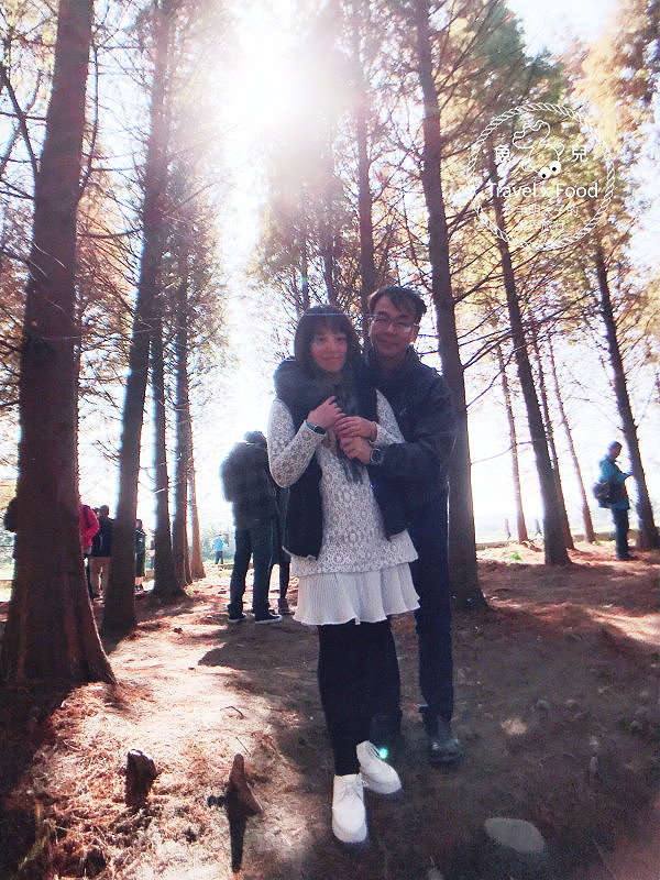 【遊】桃園八德落羽松秘境（季節限定） @魚兒 x 牽手明太子的「視」界旅行