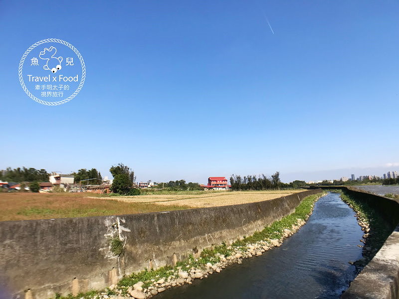 【遊】桃園八德落羽松秘境（季節限定） @魚兒 x 牽手明太子的「視」界旅行