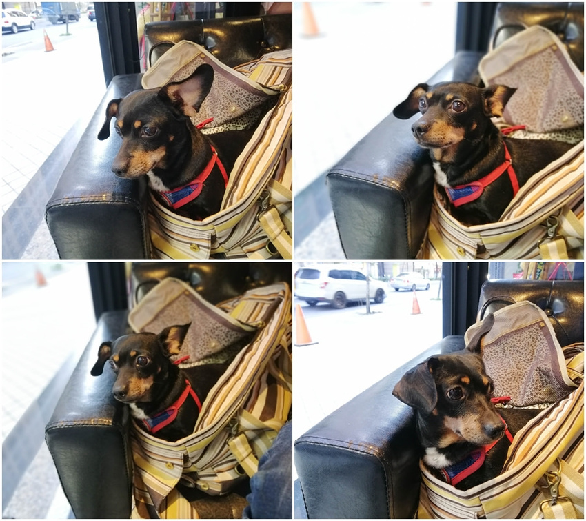 方塊pasta&coffee (80)