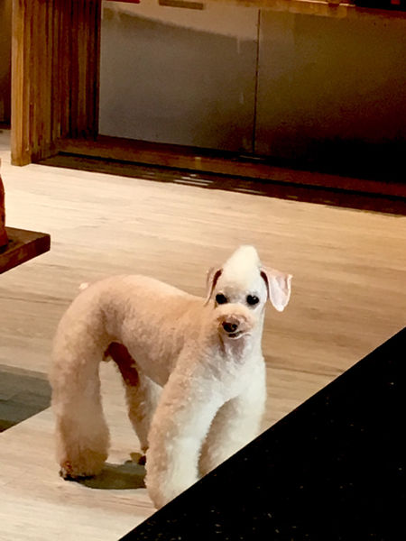 ［礁溪］人子咖啡 不一樣的美味