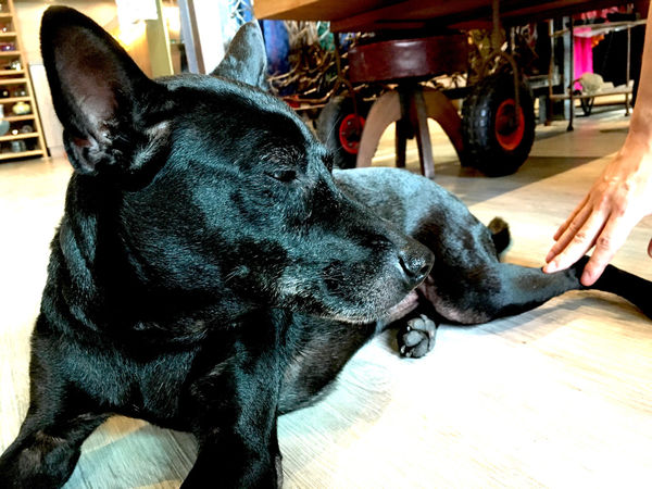 ［礁溪］人子咖啡 不一樣的美味