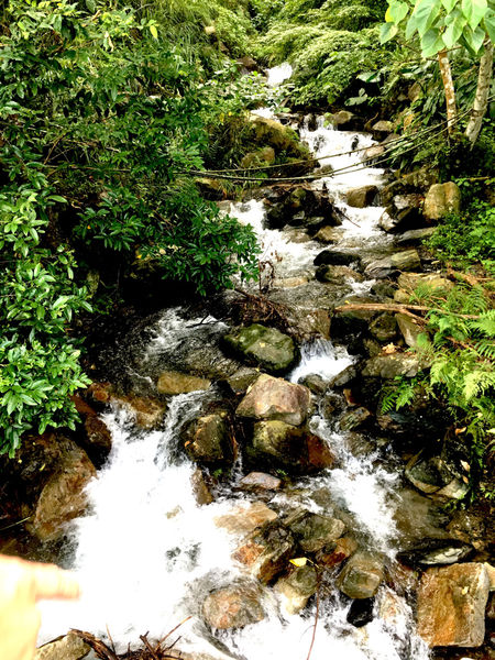 ［礁溪］人子咖啡 不一樣的美味