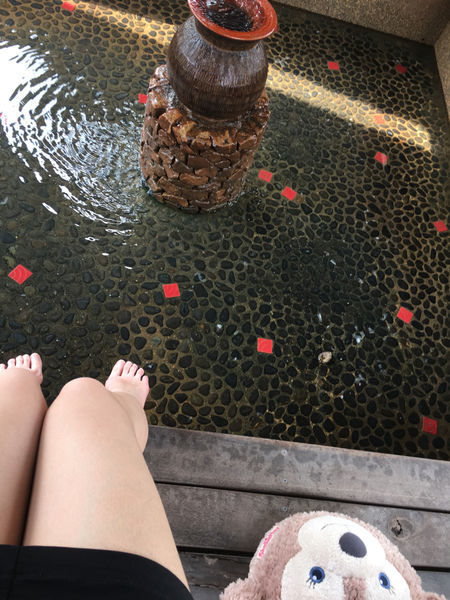 ［礁溪］九號咖啡 溫泉魚/海藻啤酒初體驗 