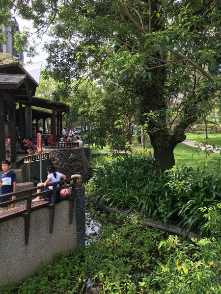 ［礁溪］九號咖啡 溫泉魚/海藻啤酒初體驗 