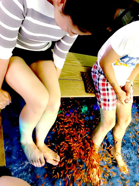 ［礁溪］九號咖啡 溫泉魚/海藻啤酒初體驗 