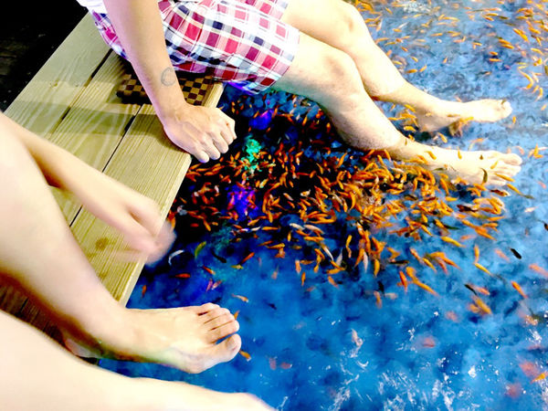 ［礁溪］九號咖啡 溫泉魚/海藻啤酒初體驗 