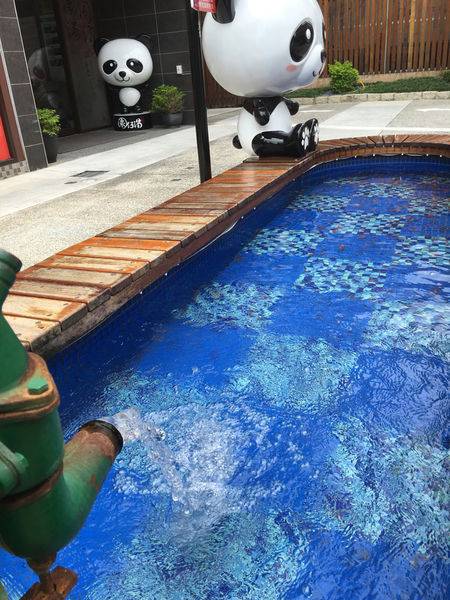 ［礁溪］九號咖啡 溫泉魚/海藻啤酒初體驗 